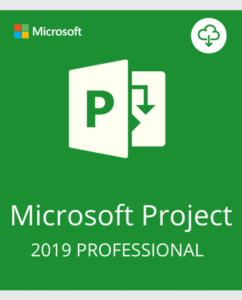 Microsoft Project 2019 Professional