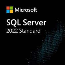 SQL SERVER 2022 STANDARD ACTIVATION KEY – 1 USER