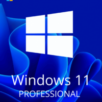 Microsoft Windows 11Pro 32/64 Bit product key original